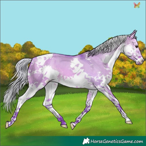 Horse Color:Watercolor Silver Bay Dun Splash Tobiano 