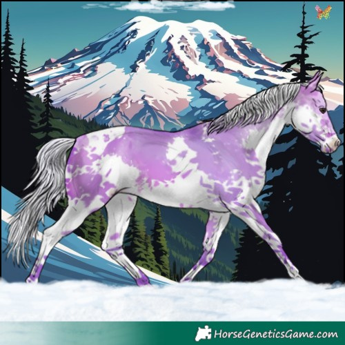 Horse Color:Watercolor Silver Bay Dun Splash Tobiano 