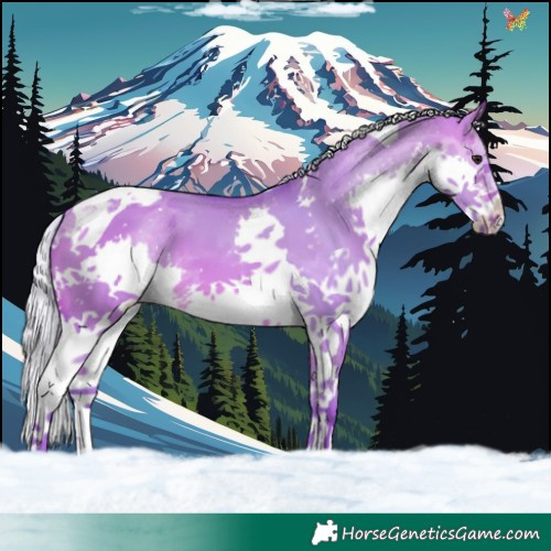 Horse Color:Watercolor Silver Bay Dun Splash Tobiano