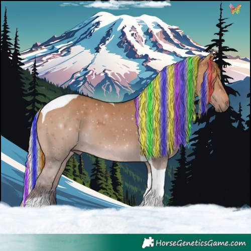 Horse Color:Painted Silver Bay Dun Tobiano 