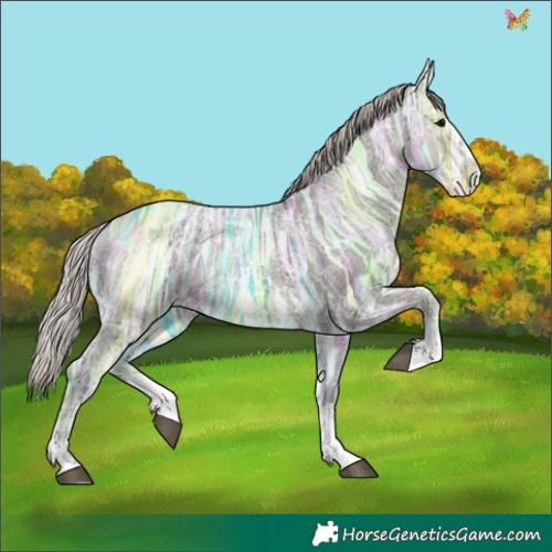 Horse Color:Silver Black Ice Sabino 