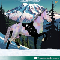 Horse Color:Nacre Gold Cream Champagne Dun Tobiano 