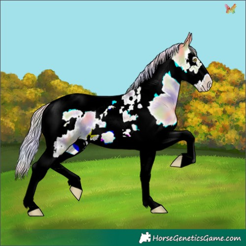 Horse Color:Nacre Silver Classic Champagne Dun Splash Tobiano Frame 