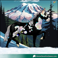 Horse Color:Nacre Silver Classic Champagne Dun Splash Tobiano Frame 