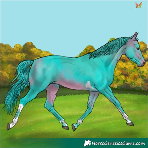 Horse Color:Watercolor Buckskin Tobiano 