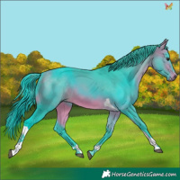 Horse Color:Watercolor Buckskin Tobiano