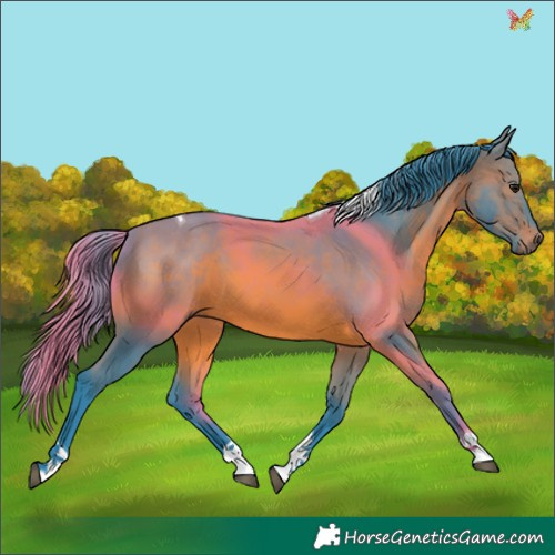 Horse Color:Watercolor Brown Tobiano 