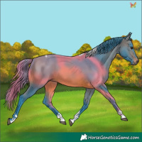 Horse Color:Watercolor Brown Tobiano 