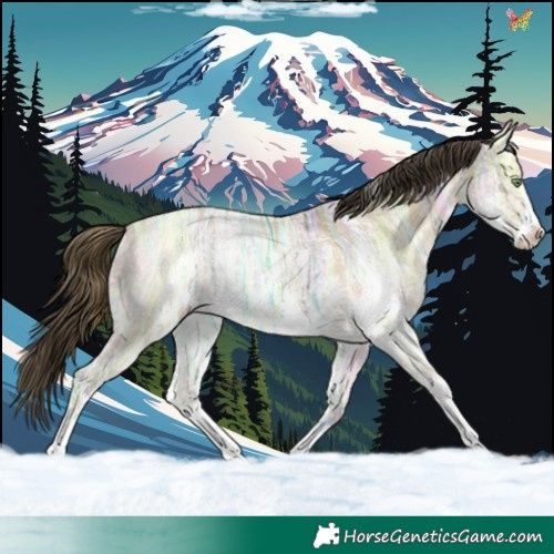 Horse Color:Sable Cream Champagne Ice Dun Sabino Rabicano 