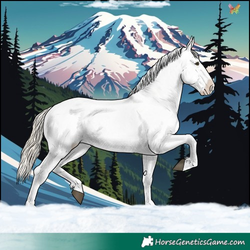 Horse Color:Palomino Ice Dun Sabino 