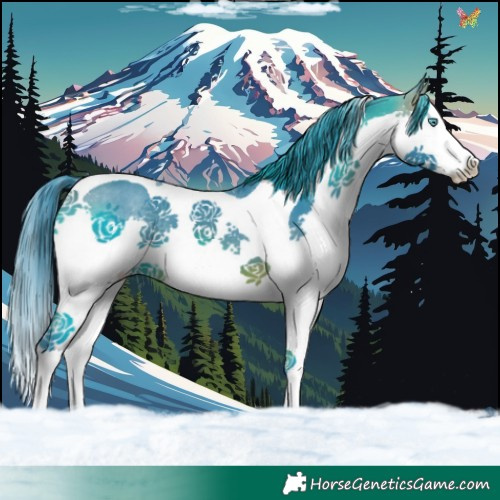 Horse Color:Watercolor Brown Splash Tobiano 