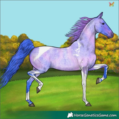 Horse Color:Watercolor Bay Roan Tobiano 