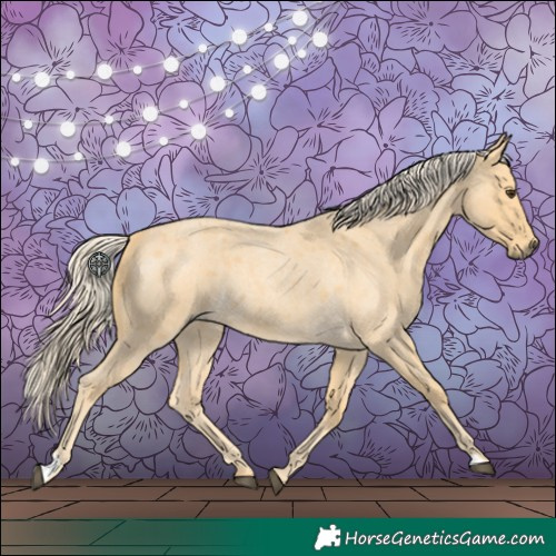 Horse Color:Palomino Roan 