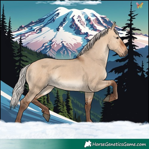 Horse Color:Silver Bay Dun 
