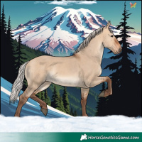 Horse Color:Silver Bay Dun 