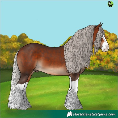 Horse Color:Silver Brown Splash 