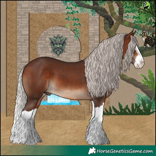 Horse Color:Silver Brown Splash 