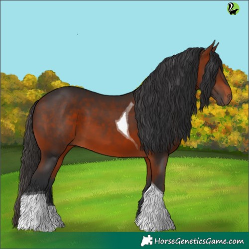 Horse Color:Brown Tobiano 