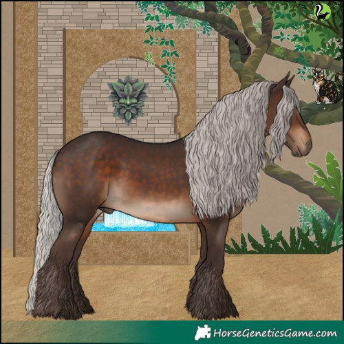 Horse Color:Silver Brown Rabicano 