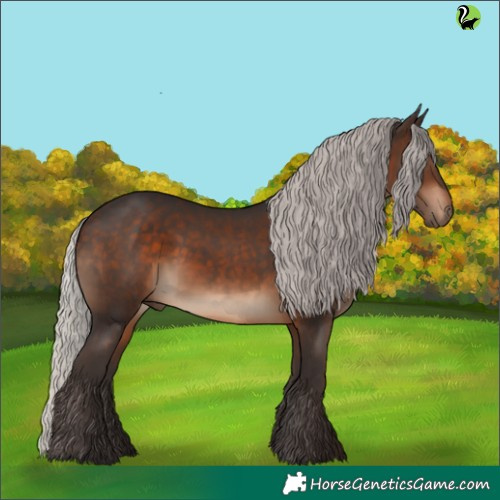 Horse Color:Silver Brown Rabicano 
