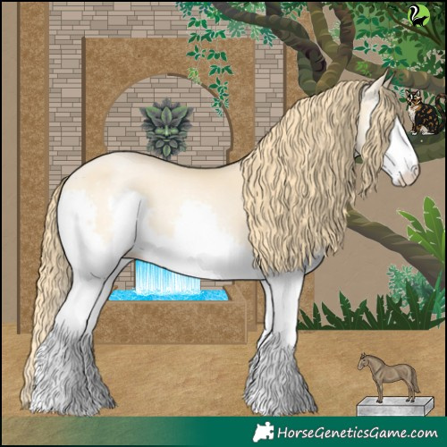 Horse Color:Buckskin Pearl Splash 