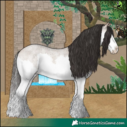 Horse Color:Bay Roan Dun Splash Rabicano 