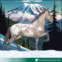 Horse Color:Brown Dun Blanket 