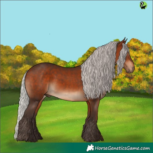Horse Color:Silver Brown Rabicano 