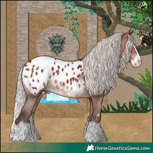Horse Color:Silver Bay Sabino Splash Appaloosa 