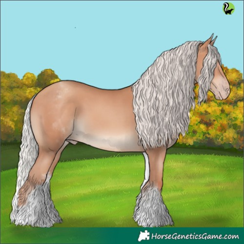 Horse Color:White Spotted Silver Sable Champagne 