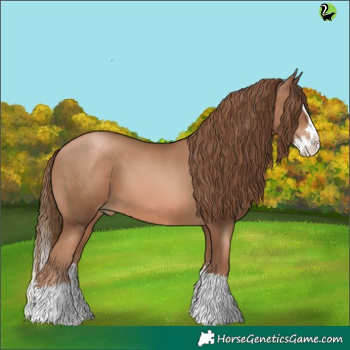 Horse Color:Liver Chestnut Pearl Splash 