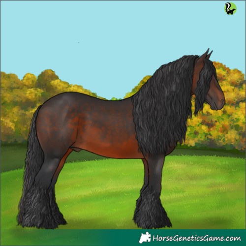 Horse Color:Brown 