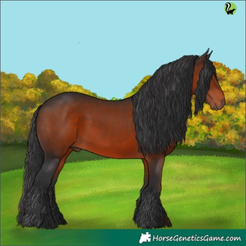 Horse Color:Brown 