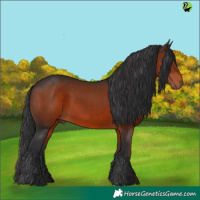 Horse Color:Brown 