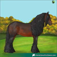 Horse Color:Brown 