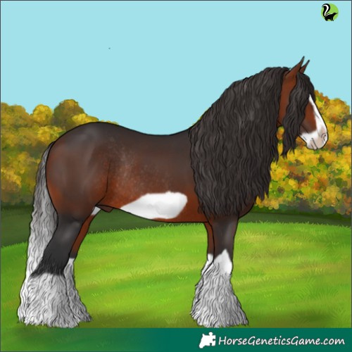 Horse Color:Brown Splash Frame Rabicano 