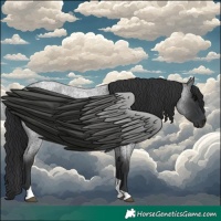 Horse Color:Blue Roan Tobiano