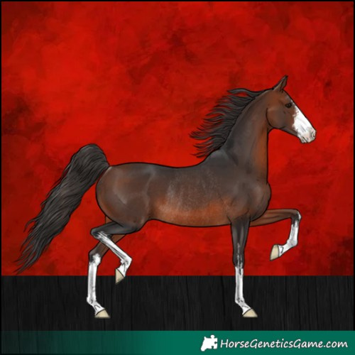 Horse Color:White Spotted Bay Rabicano 