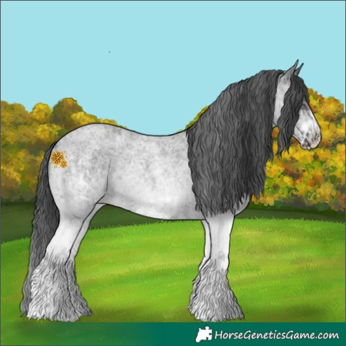 Horse Color:White Spotted Blue Roan Rabicano  and White Spotted Blue Roan Frame Rabicano 