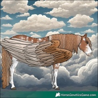 Horse Color:Chestnut Sabino 