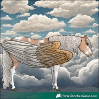 Horse Color:Silver Bay Dun Sabino Tobiano Frame Rabicano