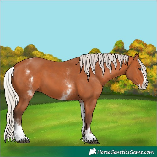 Horse Color:White Spotted Silver Bay Splash