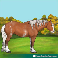 Horse Color:White Spotted Silver Bay Splash 
