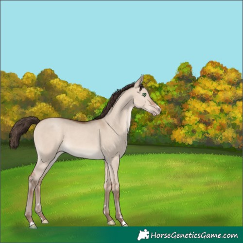 Horse Color:Amber Champagne Dun 