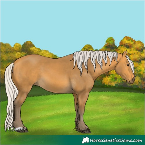 Horse Color:Silver Buckskin 