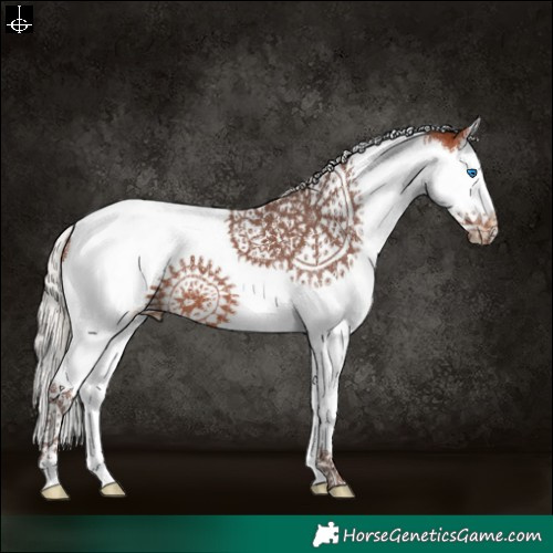 Horse Color:Silver Bay Splash Tobiano 