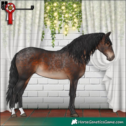 Horse Color:Brown 