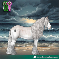 Horse Color:Silver Blue Roan Splash Appaloosa