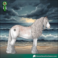 Horse Color:Silver Blue Roan Splash Appaloosa 