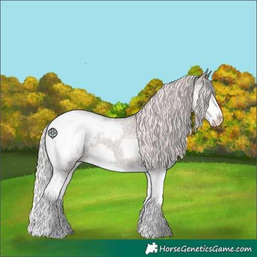 Horse Color:Silver Grullo Roan Splash Snowcap 